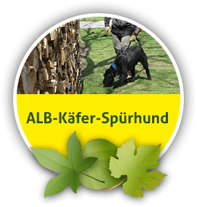 ALB-CLB-Spürhunde aus Mittenwalde bei Königs Wusterhausen