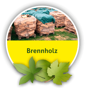 Brennholz und Kaminholz aus Mittenwalde bei Königs Wusterhausen