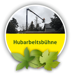 mobile Hubarbeitsbühne aus Mittenwalde bei Königs Wusterhausen mieten