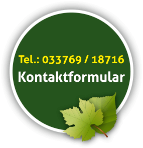 Kontakt Baumfäller und Baumpfleger aus Mittenwalde bei Königs Wusterhausen