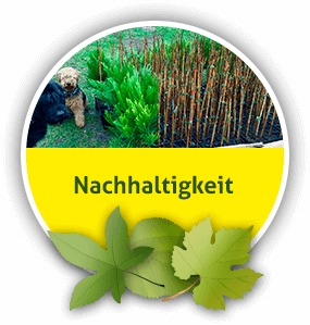 Nachhaltigkeit und ökologisches Baumfällen aus Mittenwalde bei Königs Wusterhausen
