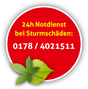 24h Notdienst Baumpfleger und Baumfäller aus Mittenwalde bei Königs Wusterhausen