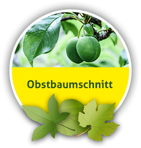 Obstbaumschnitt aus Mittenwalde bei Königs Wusterhausen