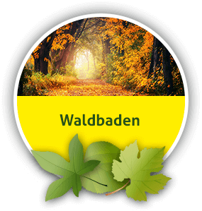 Waldbaden und Walderlebnisse aus Mittenwalde bei Königs Wusterhausen