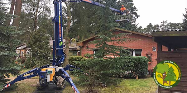 Vermietung Arbeitsbühne, Hebebühne und Hubarbeitsbühne | Mittenwalde | Königs Wusterhausen 9