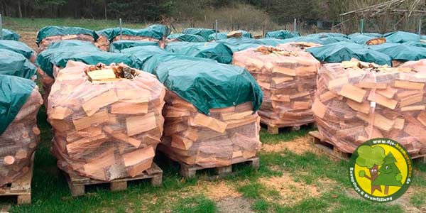 Brennholz, Feuerholz, Kaminholz, Baum selbst werben bzw. fällen aus Mittenwalde bei Königs Wusterhausen 1