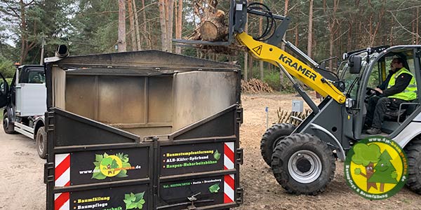 Containerdienst und Container-Service - Abfuhr und Entsorgung von Gartenabfällen, Grünschnitt, Ästen und Wurzeln in Königs-Wusterhausen und Mittenwalde 9