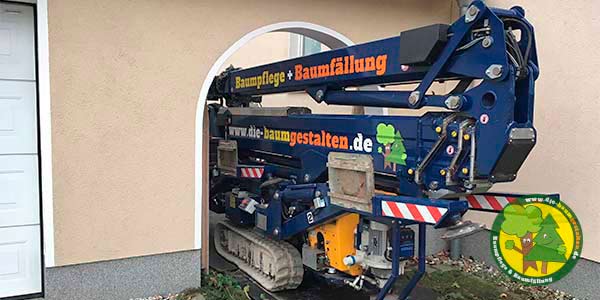 Fachbetrieb für die Beseitigung und Entfernung Eichenprozessionsspinner in Berlin und Brandenburg