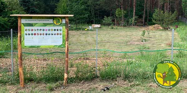 Nachhaltigkeit, Aufforstung und ökologisches Baumfällen der Baumfäller und Baumpfleger aus Mittenwalde bei Königs Wusterhausen 16