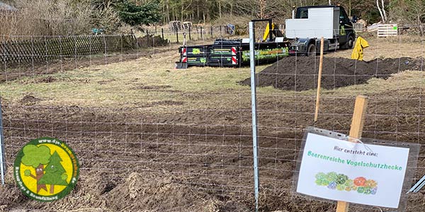 Nachhaltigkeit, Aufforstung und ökologisches Baumfällen der Baumfäller und Baumpfleger aus Mittenwalde bei Königs Wusterhausen 8